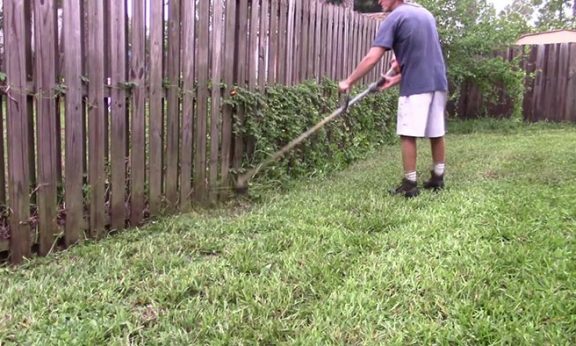 Weed Whack Your Fence