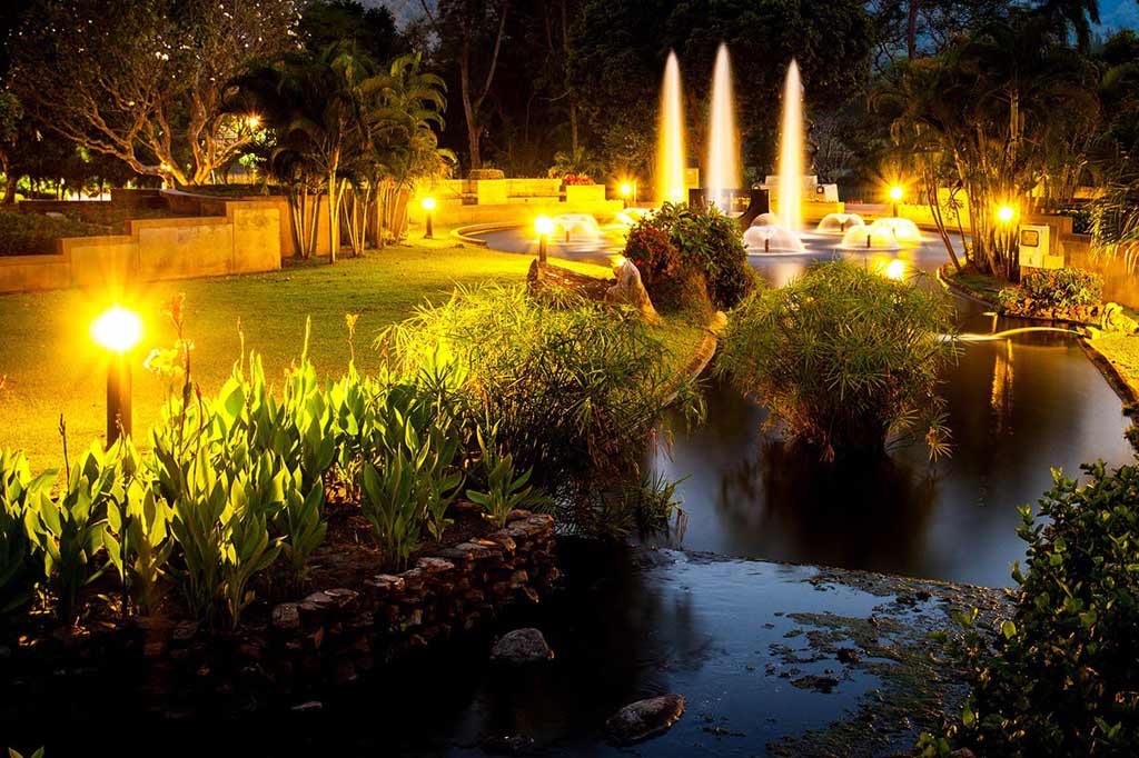 outdoor landscape lighting designs